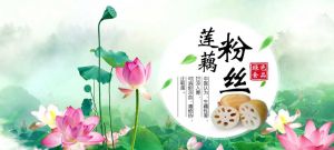 乾塘蓮藕專業(yè)合作社公司